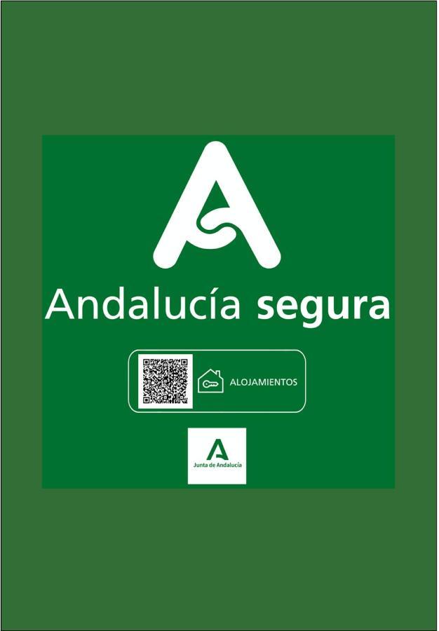 Holidays2Malaga Sebastian Souviron High Speed Wifi Exteriör bild